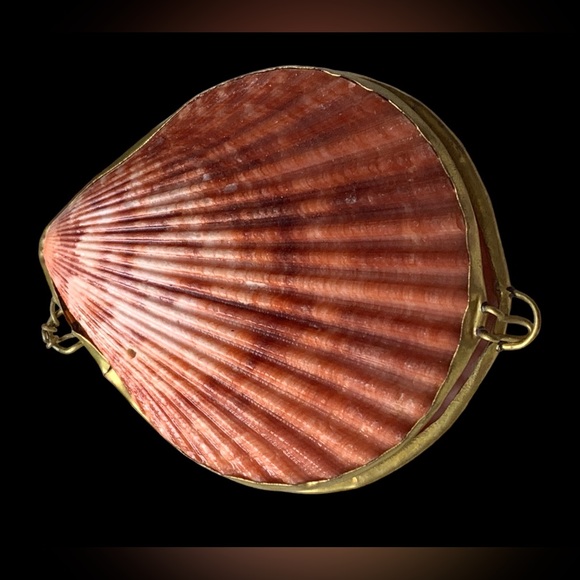 New Two’s Company Real Sea Shell Sunset Colors Ring Holder Pill Box Trinket - Picture 5 of 7